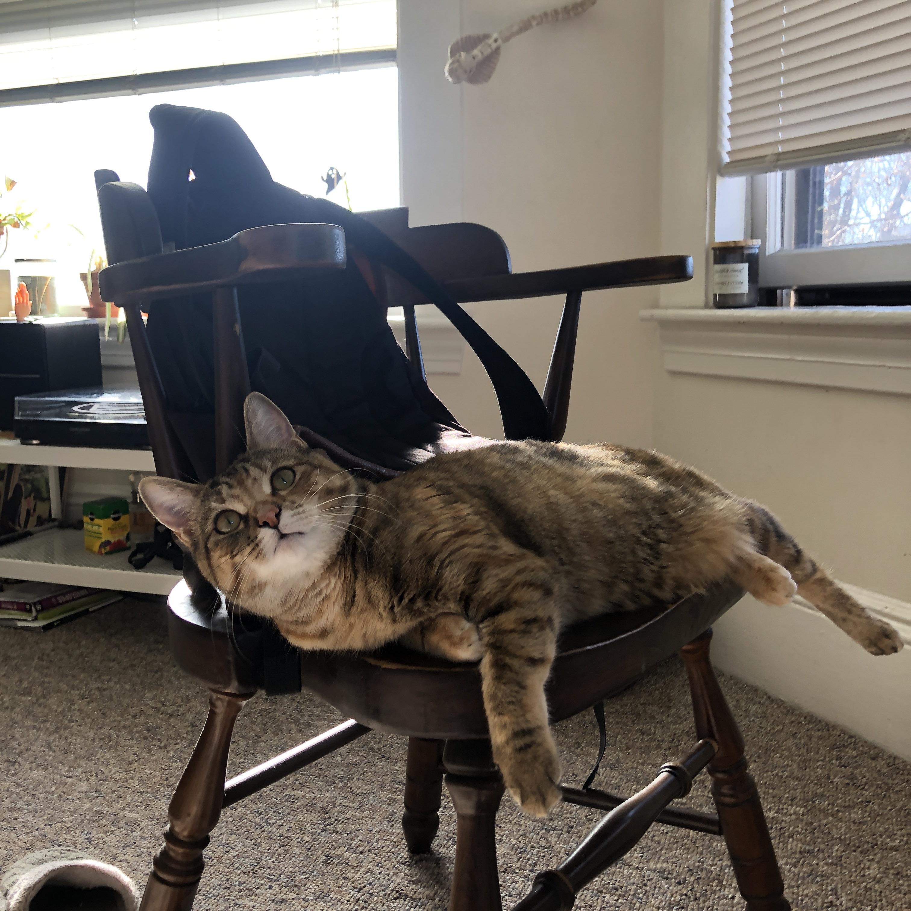 《虚拟货币在电竞中的应用：机遇与潜在风险》