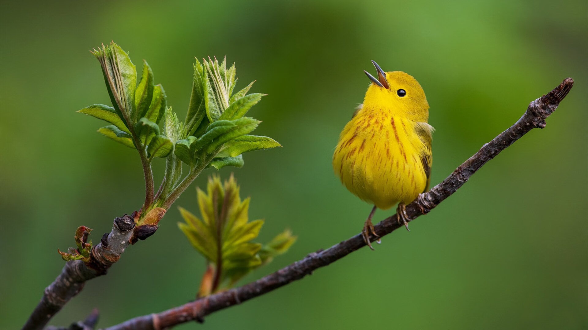 下载乐鱼体育APP-明日方舟全球组队战役正式开启，策略与配合为王，明日方舟携手全国673家