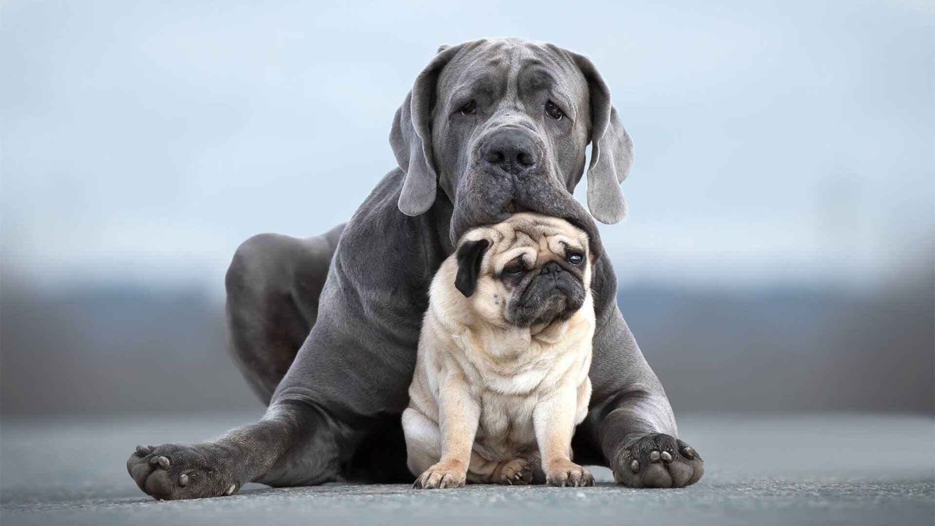 乐鱼体育平台app下载-逆转战役中的“救世主”：那些扭转乾坤的英雄，逆转结局是哪一套史诗