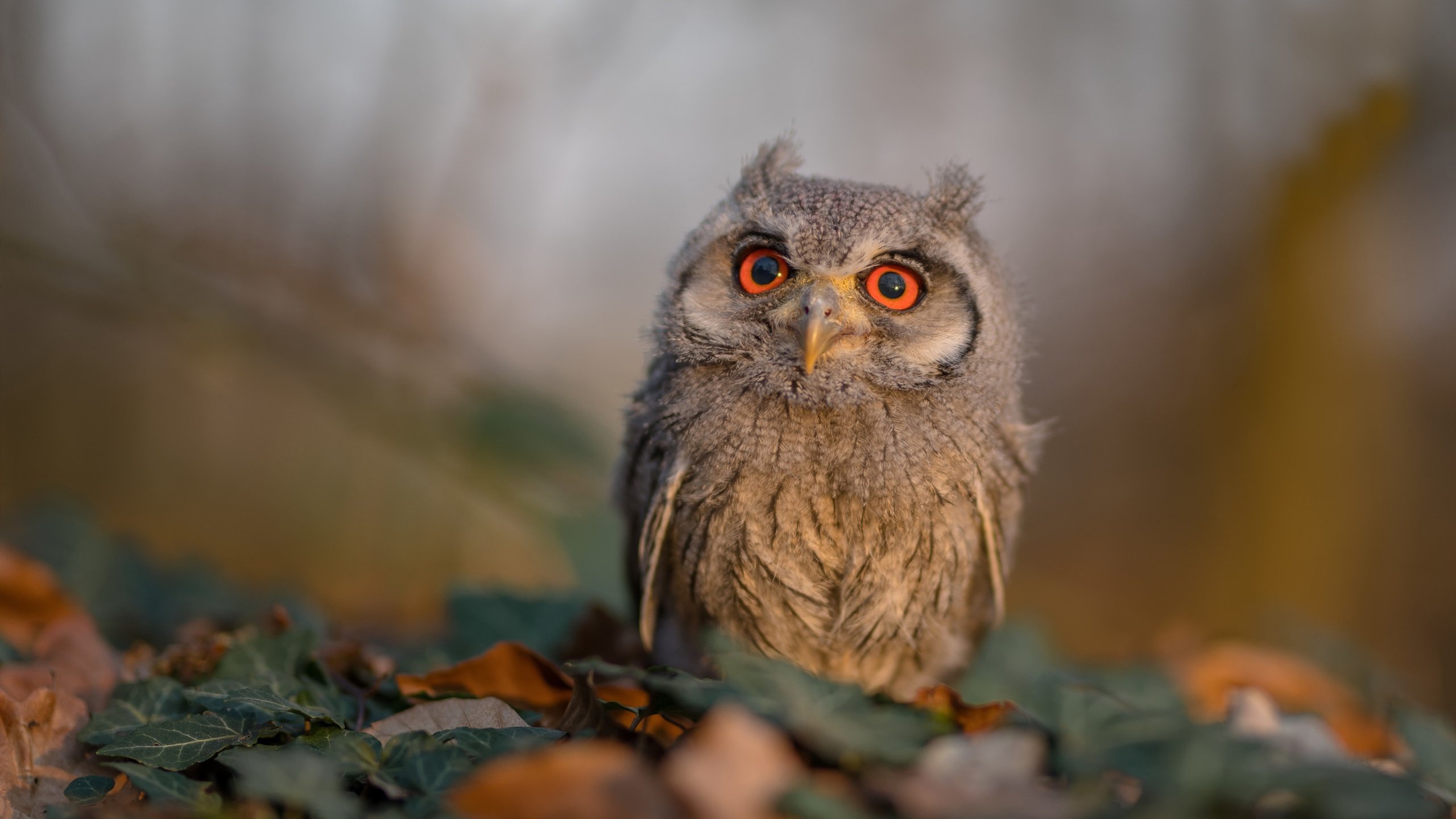 逆转战术——欧冠中的“掉头战术”研究，欧冠经典逆转