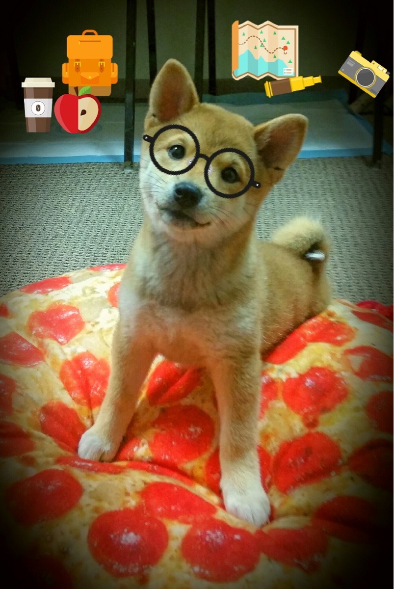 WNBA推广活动火爆进行中,wnba推介