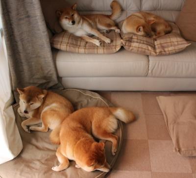 乐鱼电竞在线平台-国民队防守端表现稳健，国民队长