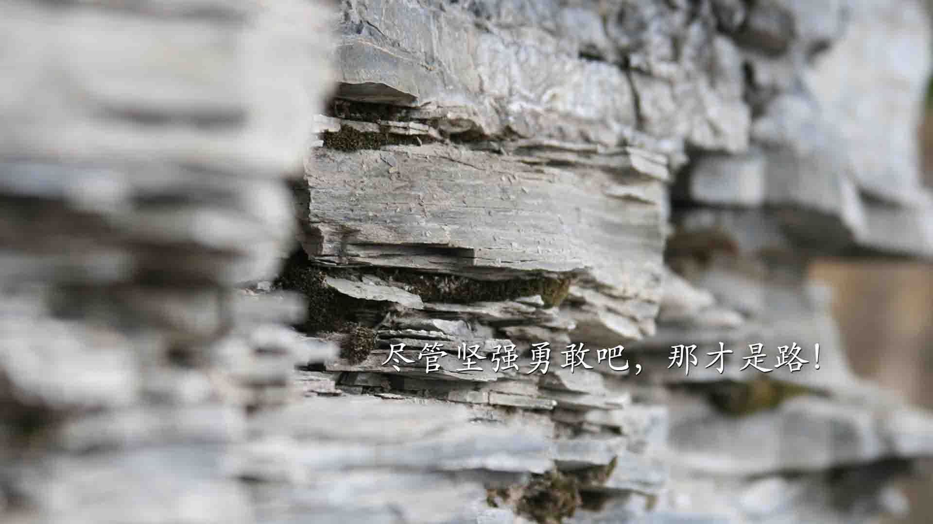 乐鱼官网-国王新秀哈拉索破得分神奇表现