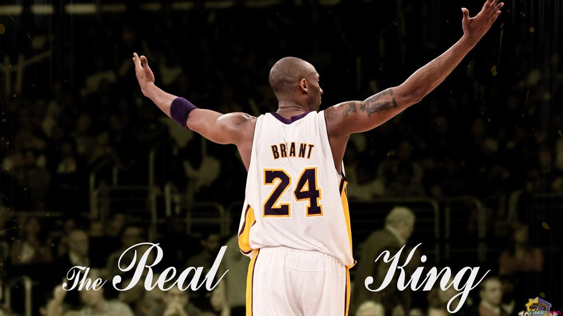 国王是否能成为新赛季的黑马,国王新赛季首发