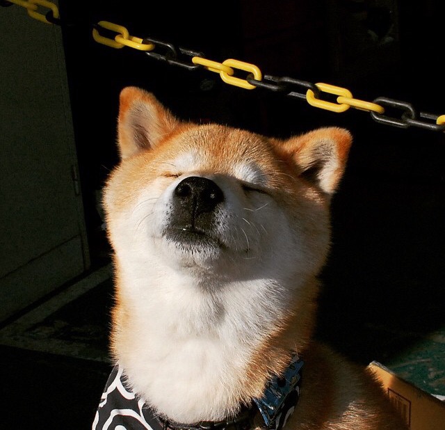 拜仁慕尼黑准备在客场对决柯布伦茨,拜仁慕尼黑对科隆