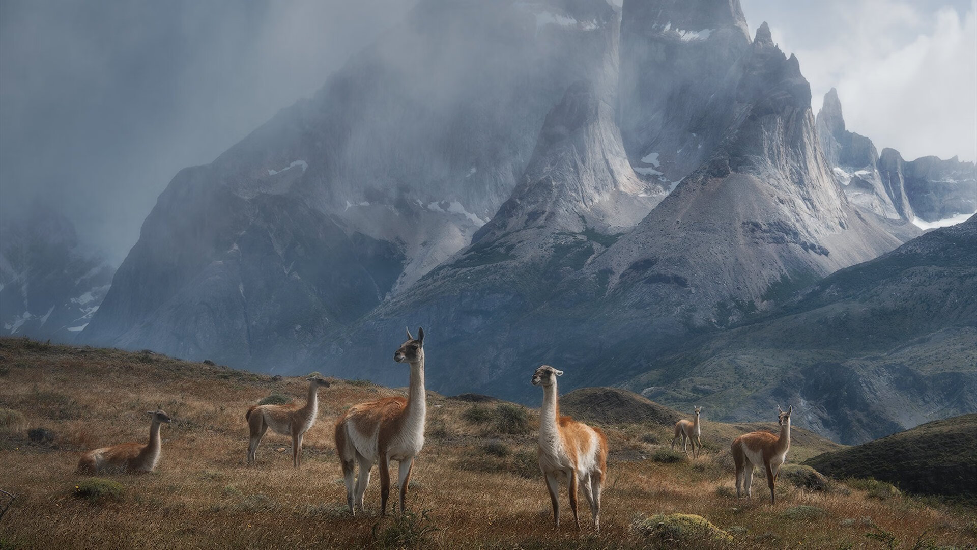 比利亚雷亚尔球员接受手术治疗,比利亚雷亚尔现主帅是谁