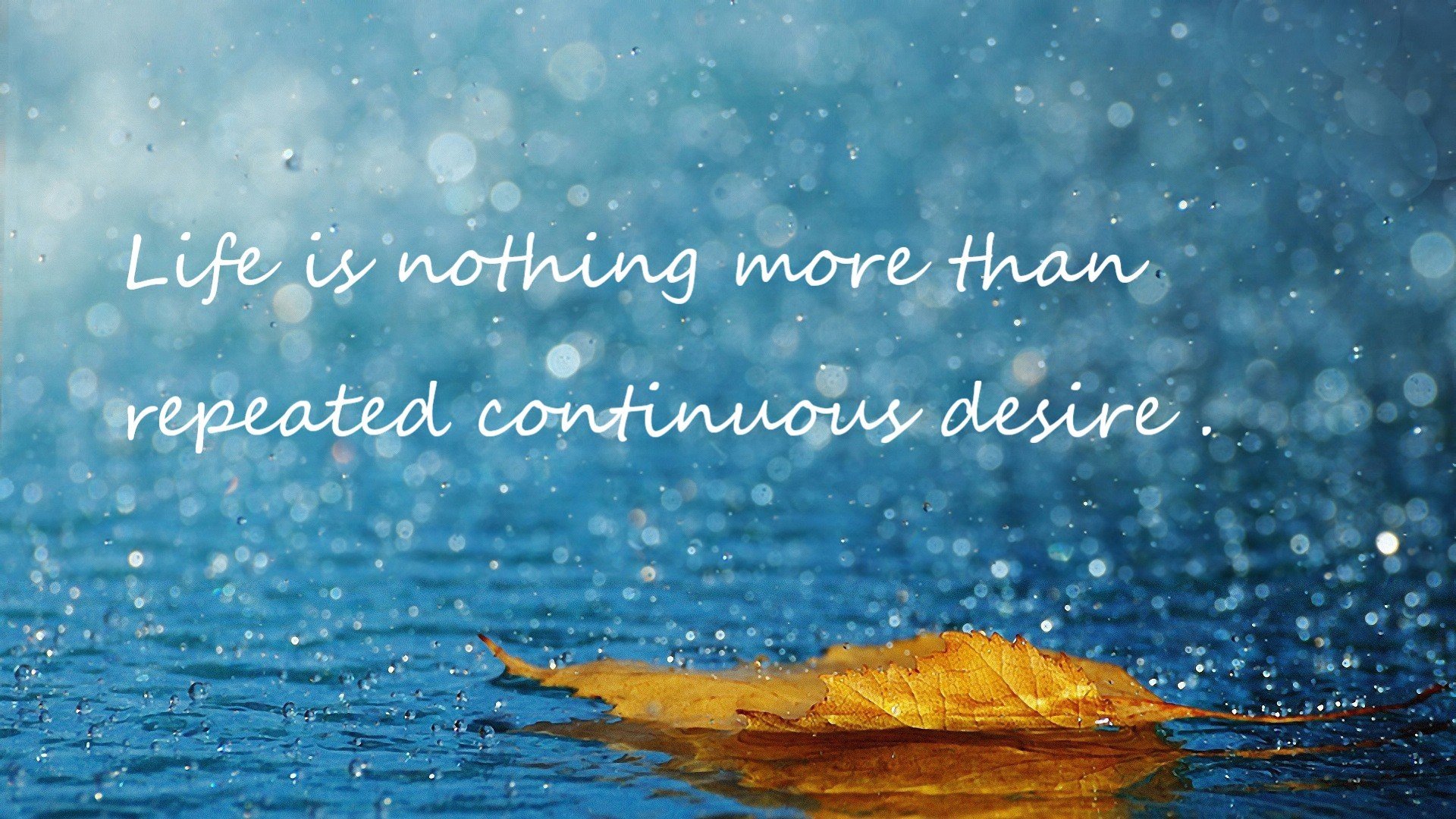 乐鱼电竞-英雄联盟裁判系统正式启用全程数据追踪模型，英雄联盟裁判规则