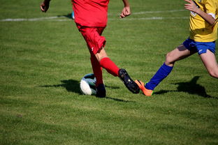 下载乐鱼体育APP-篮球训练计划科学制定及执行效果跟踪研究，简述篮球训练计划制定步骤