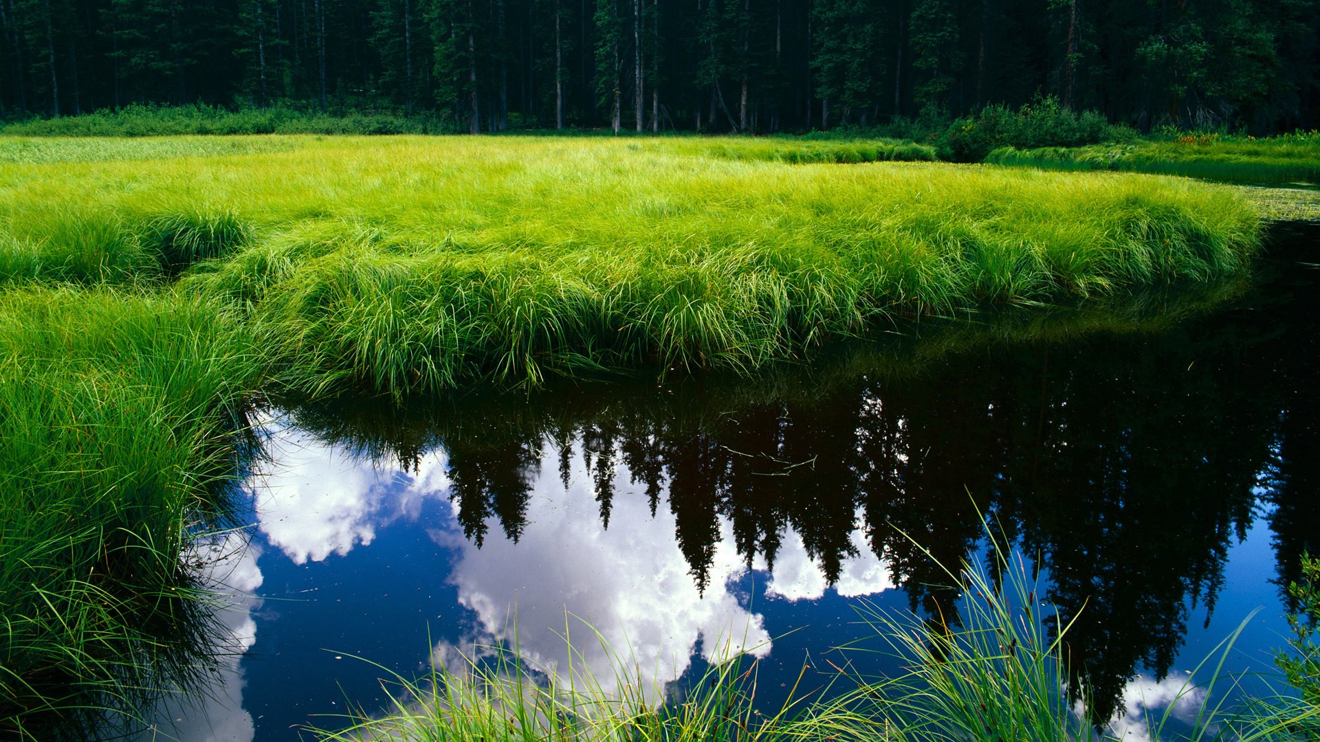 博卡长传转移频繁，成功率偏低，博卡系统怎么导出会员资料