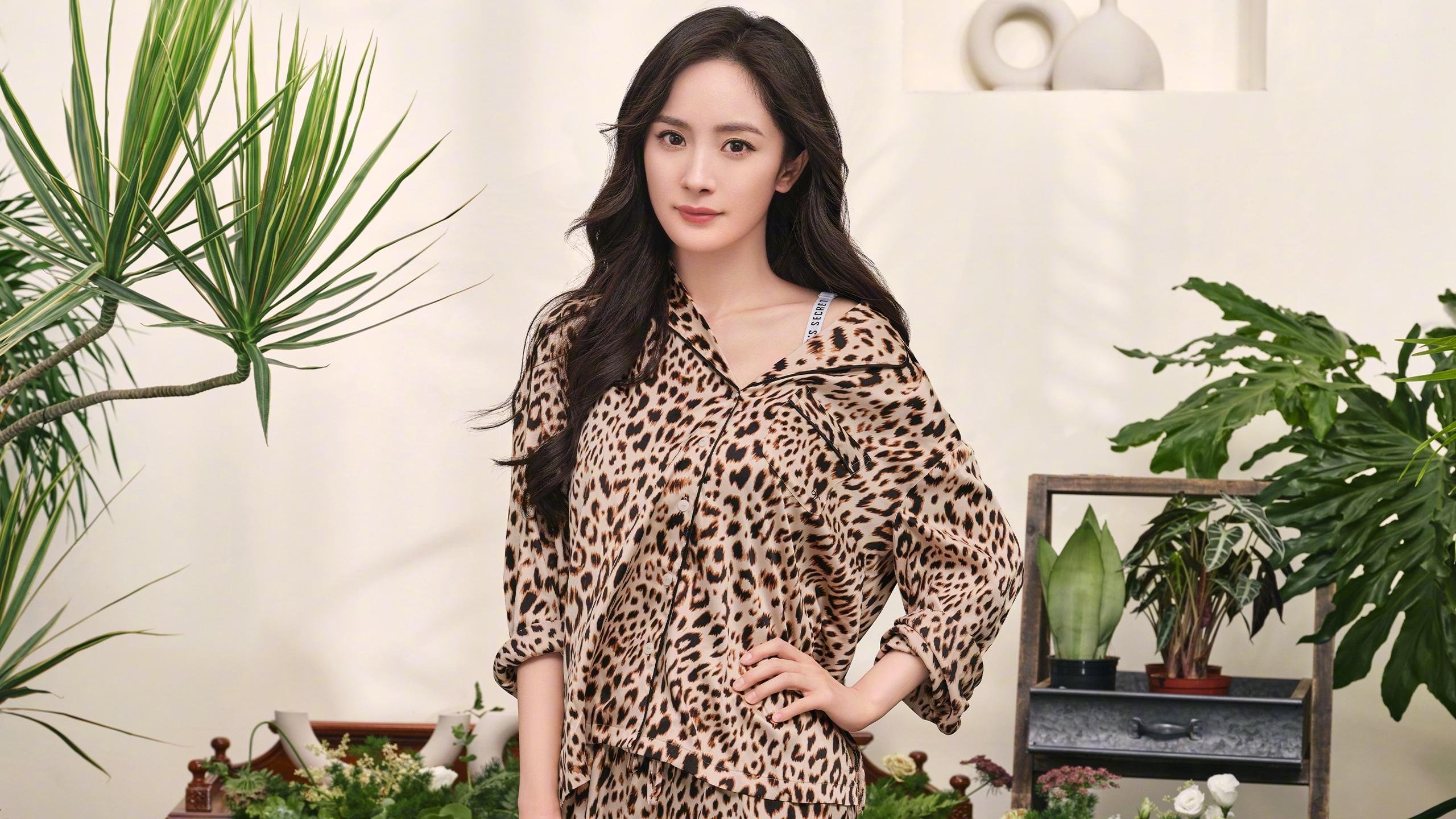 未来十年，澳大利亚队如何通过国际赛事提升竞争力，澳大利亚国家联赛