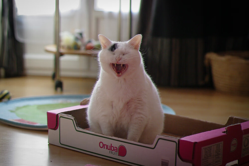 高水平选手划水对称性评分排行榜